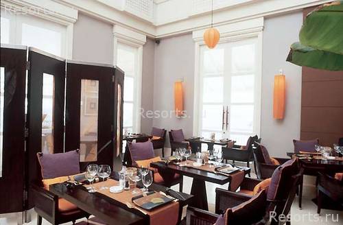 Banyan Tree Deluxe 8